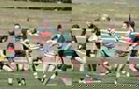 Round 12 V Westside - Indigenous Round